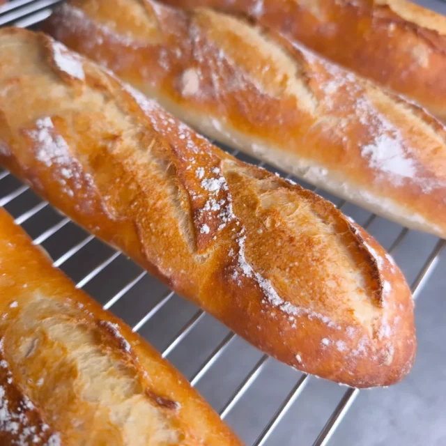 あっという間の一年。
この場所でつながってくれた皆さまに、心から感謝しています。
何気ない日常や想いを共有できたことが、私にとって大きな励みでした。
来年もよろしくお願いします。
どうか穏やかな新年を迎えられますように。#横手市 #秋田県